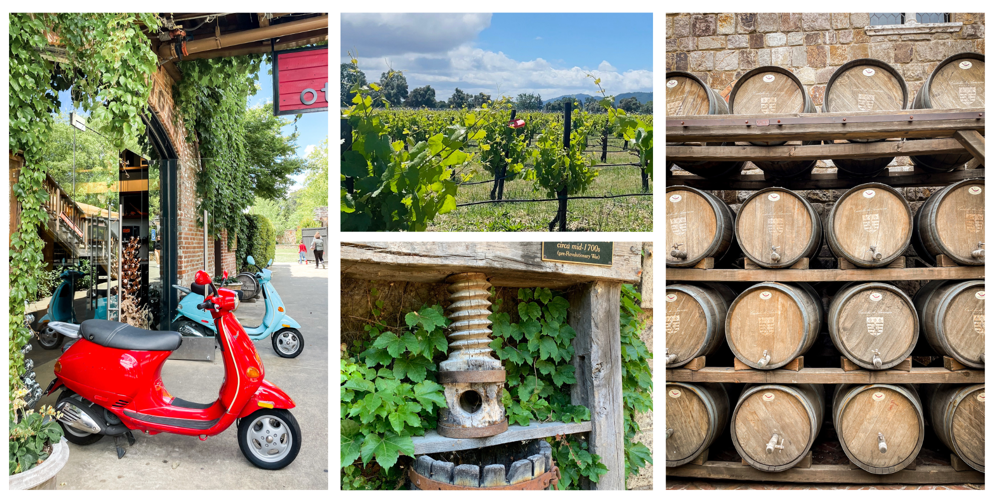 Moped, Wine Press and Wine Barrels in Napa Valley