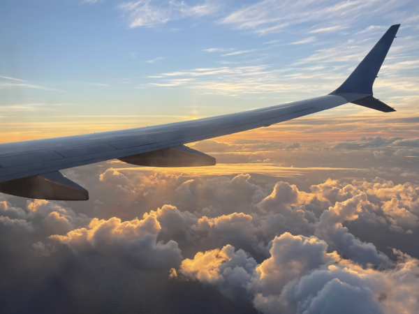 How to Fly Free on Southwest and Earn Companion Pass