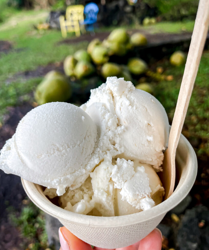 Coconut Glen's Ice Cream on the Road to Hana in Maui