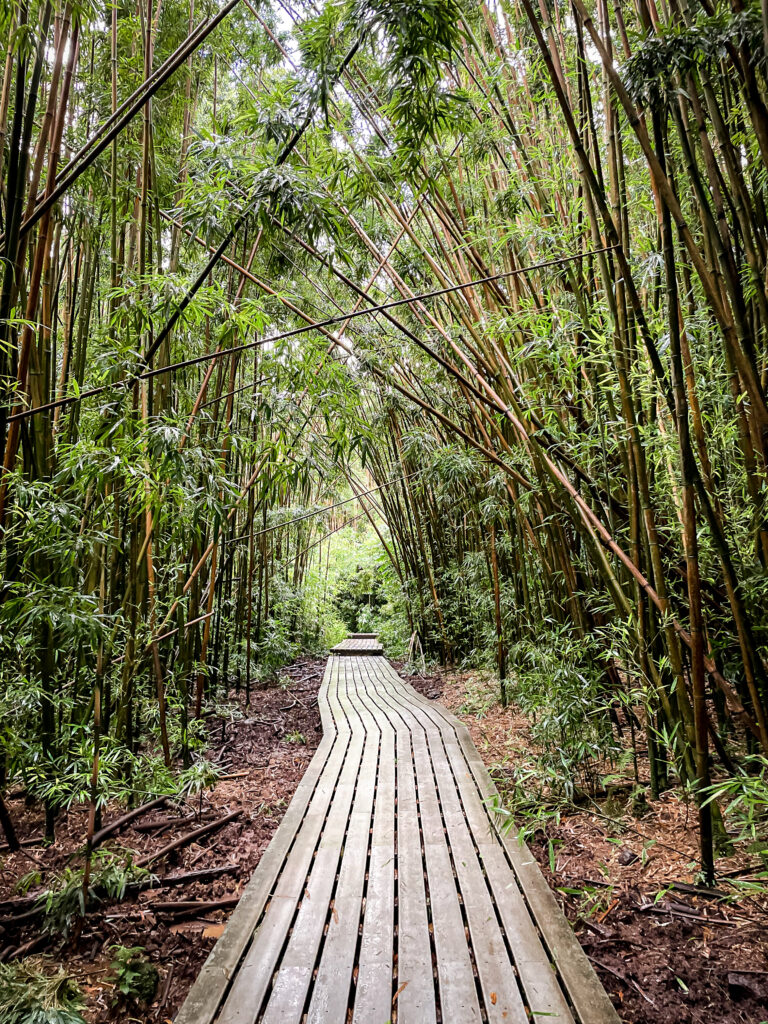Wood platform through the bamboo forest on the Pipiwai Trail in Maui