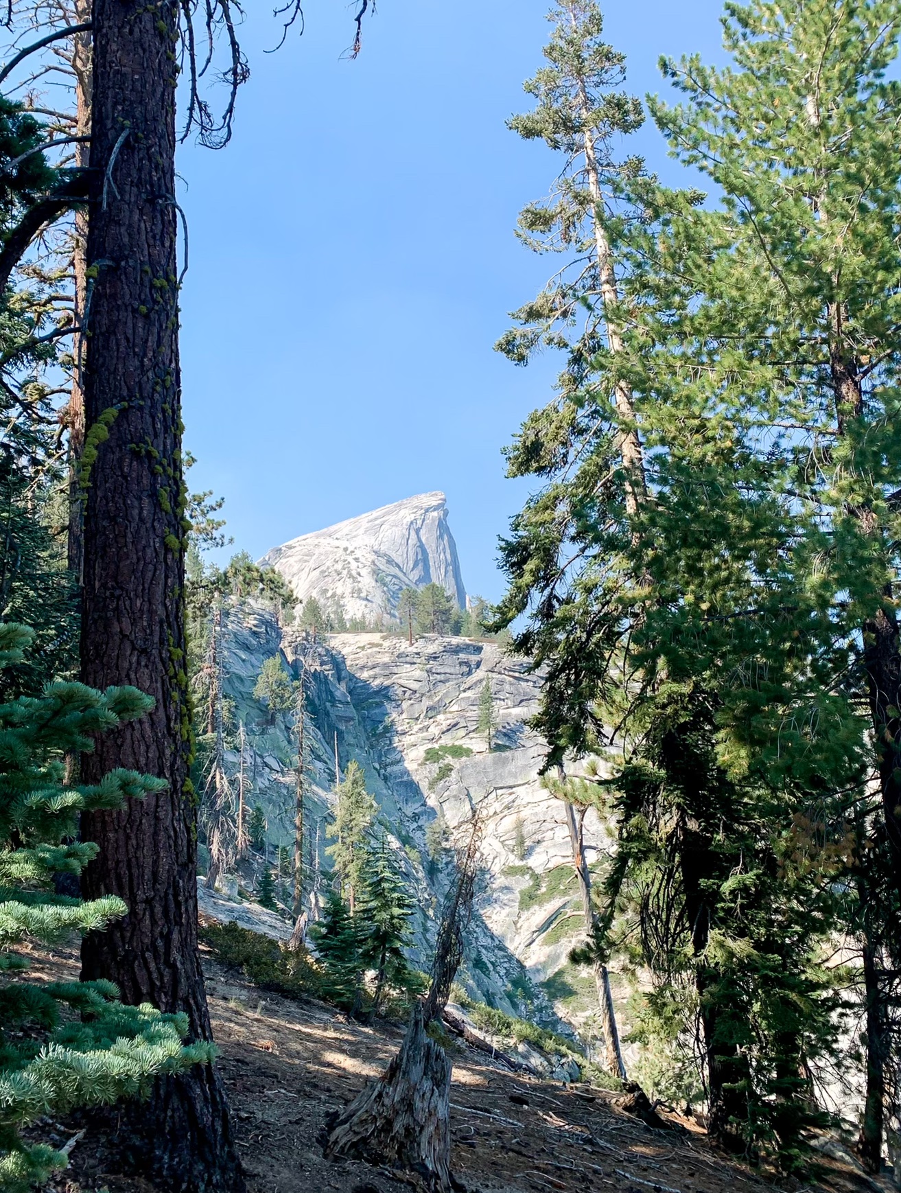 View of Half Dome from Little Yosemite Valley