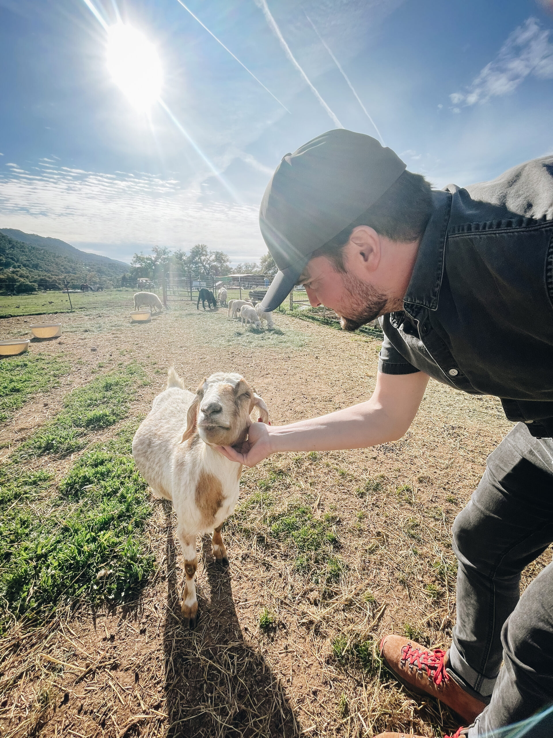 Man petting a goat on a date in Ojai