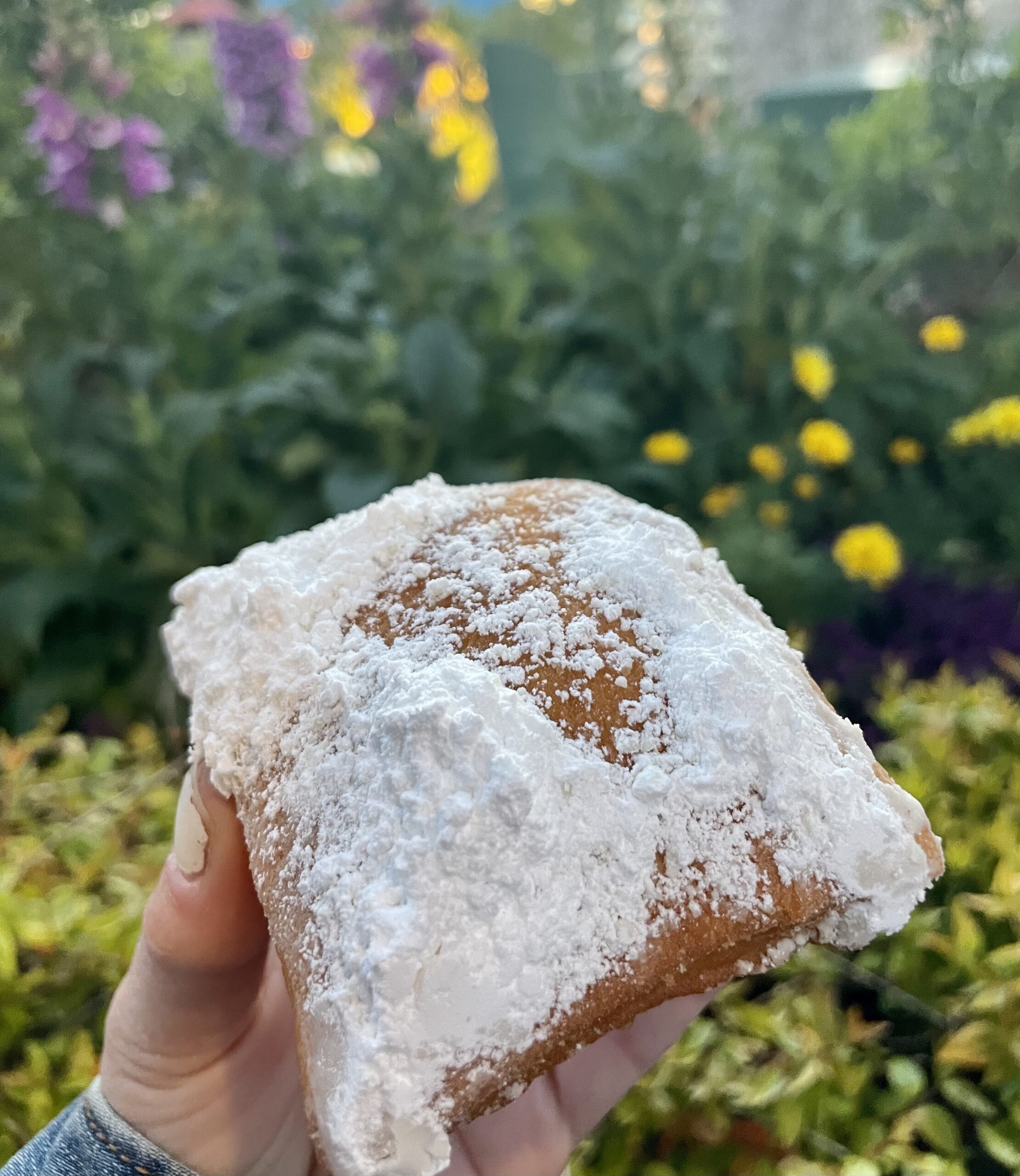 Cafe Du Monde