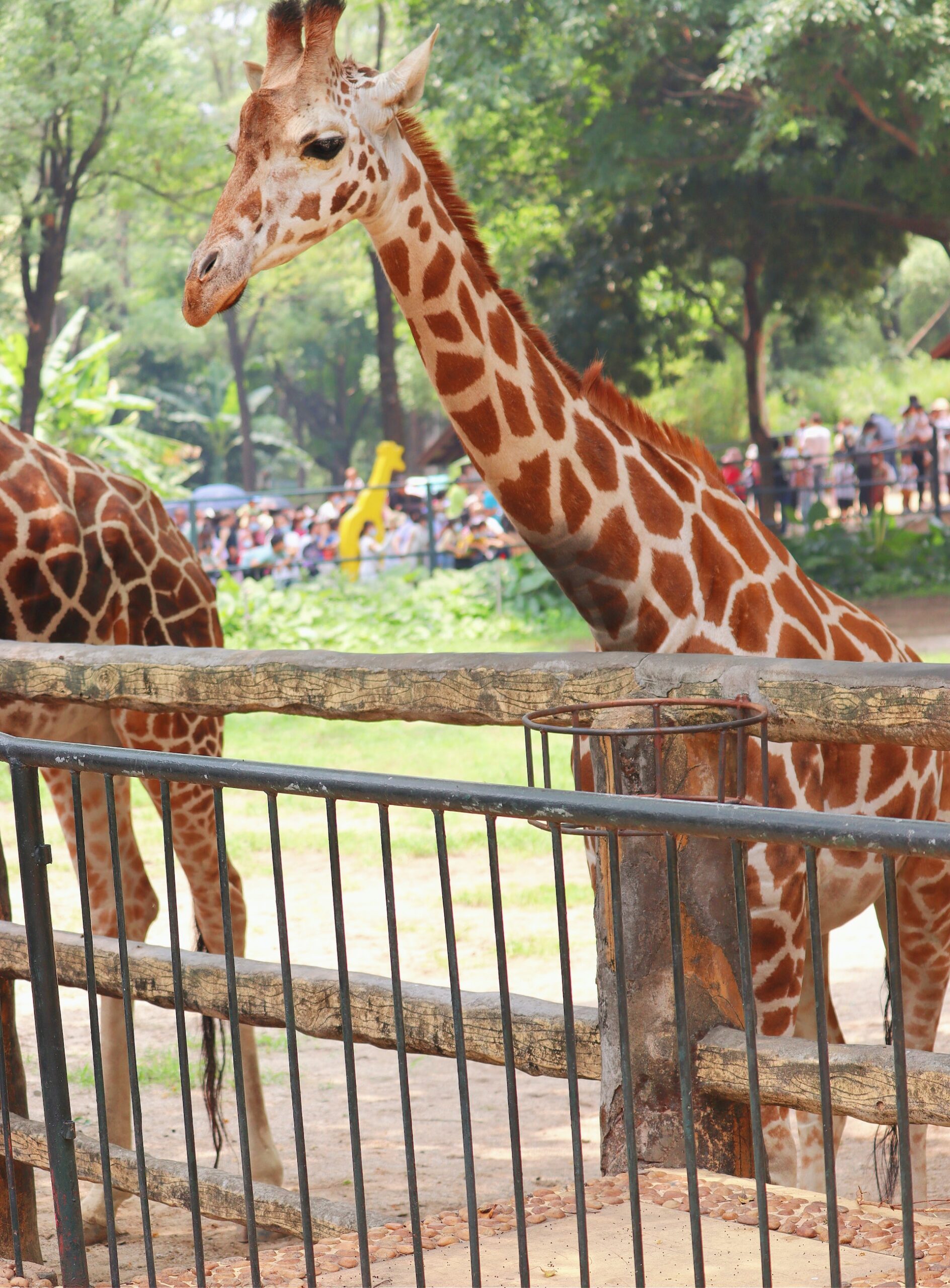 San Diego Zoo