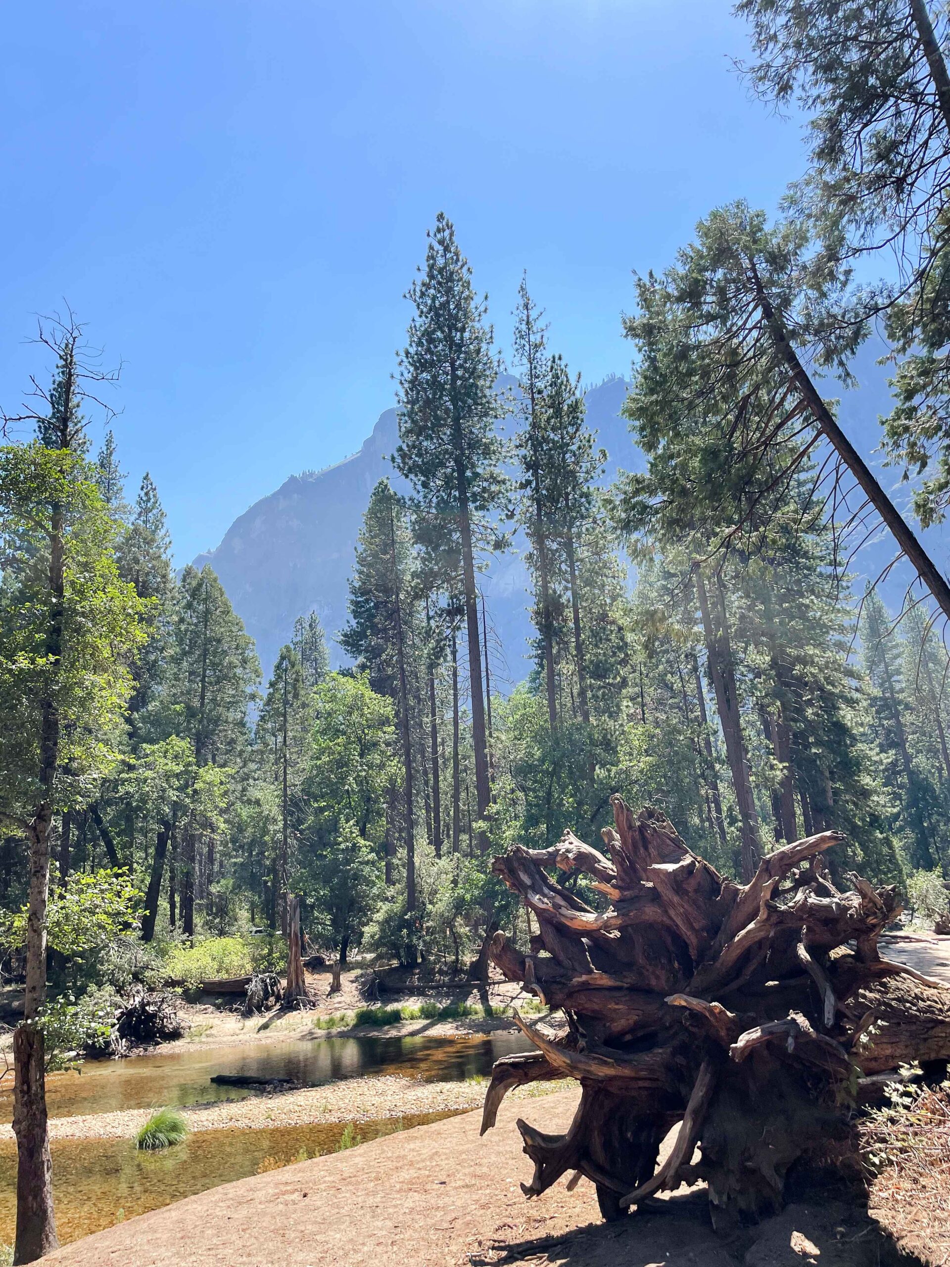 Yosemite Valley