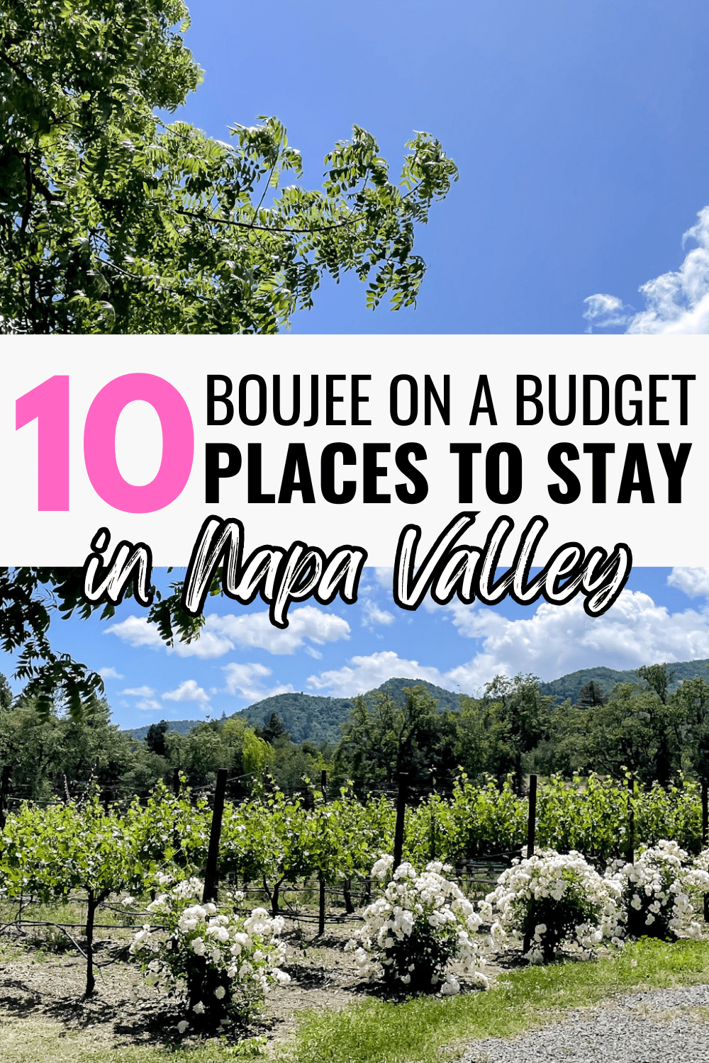 10 Boujee on a Budget Places to Stay in Napa Valley with vineyard scenery
