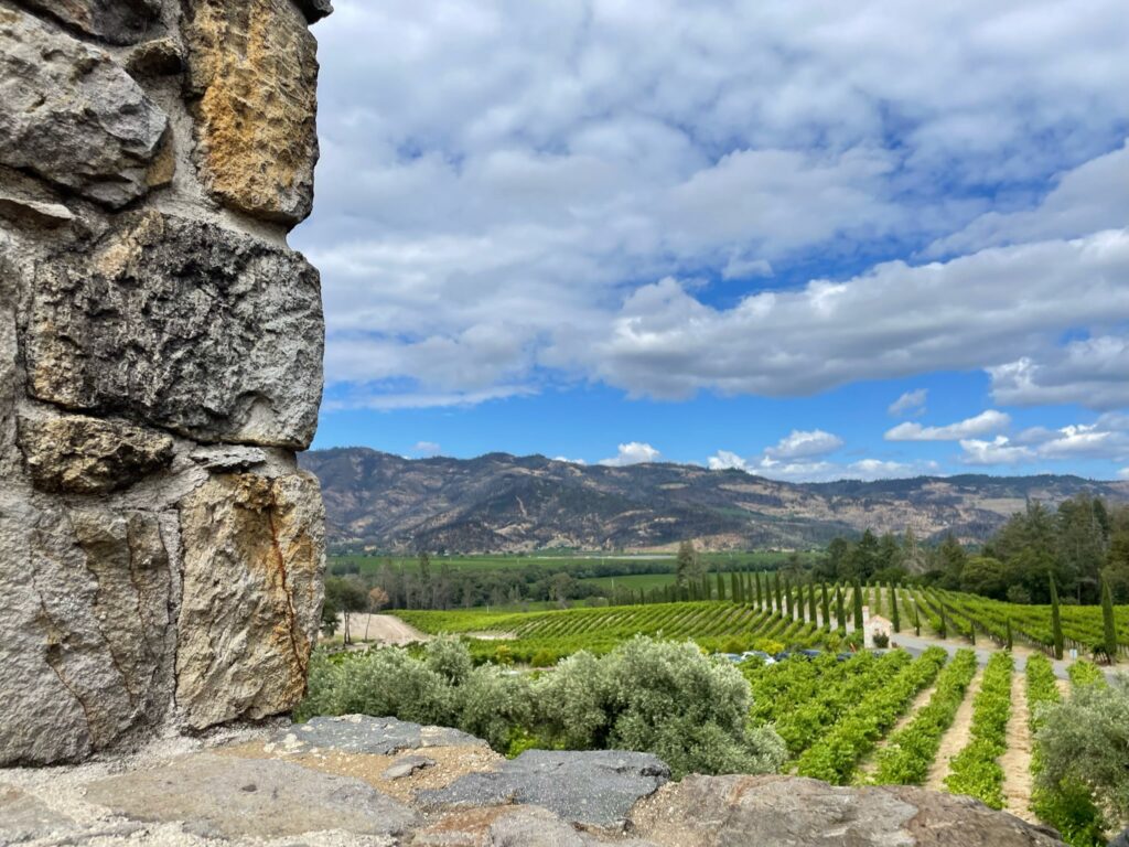 Napa winery with a view, castello di amoroso