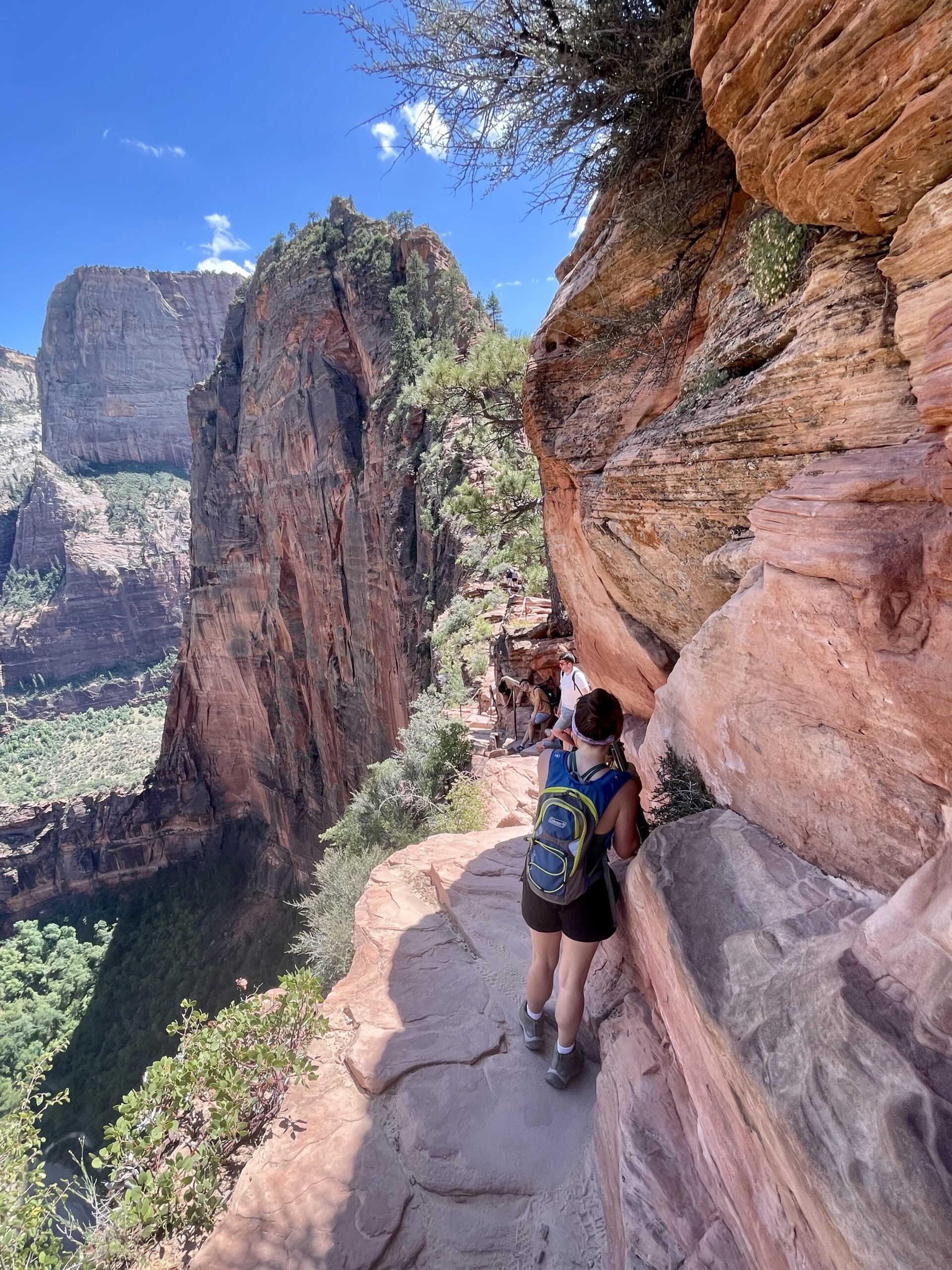 people hiking Angels Landing holding onto chains with a steep drop on the left side