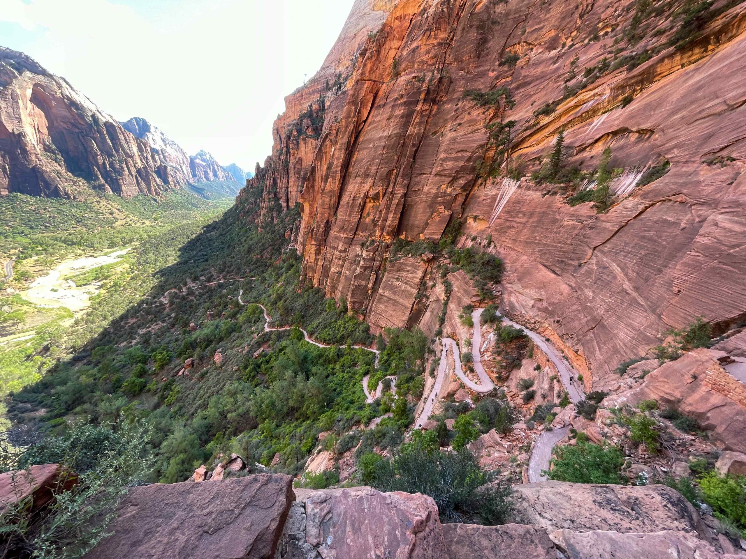 View of the West Rim Trail in Zion Canyon