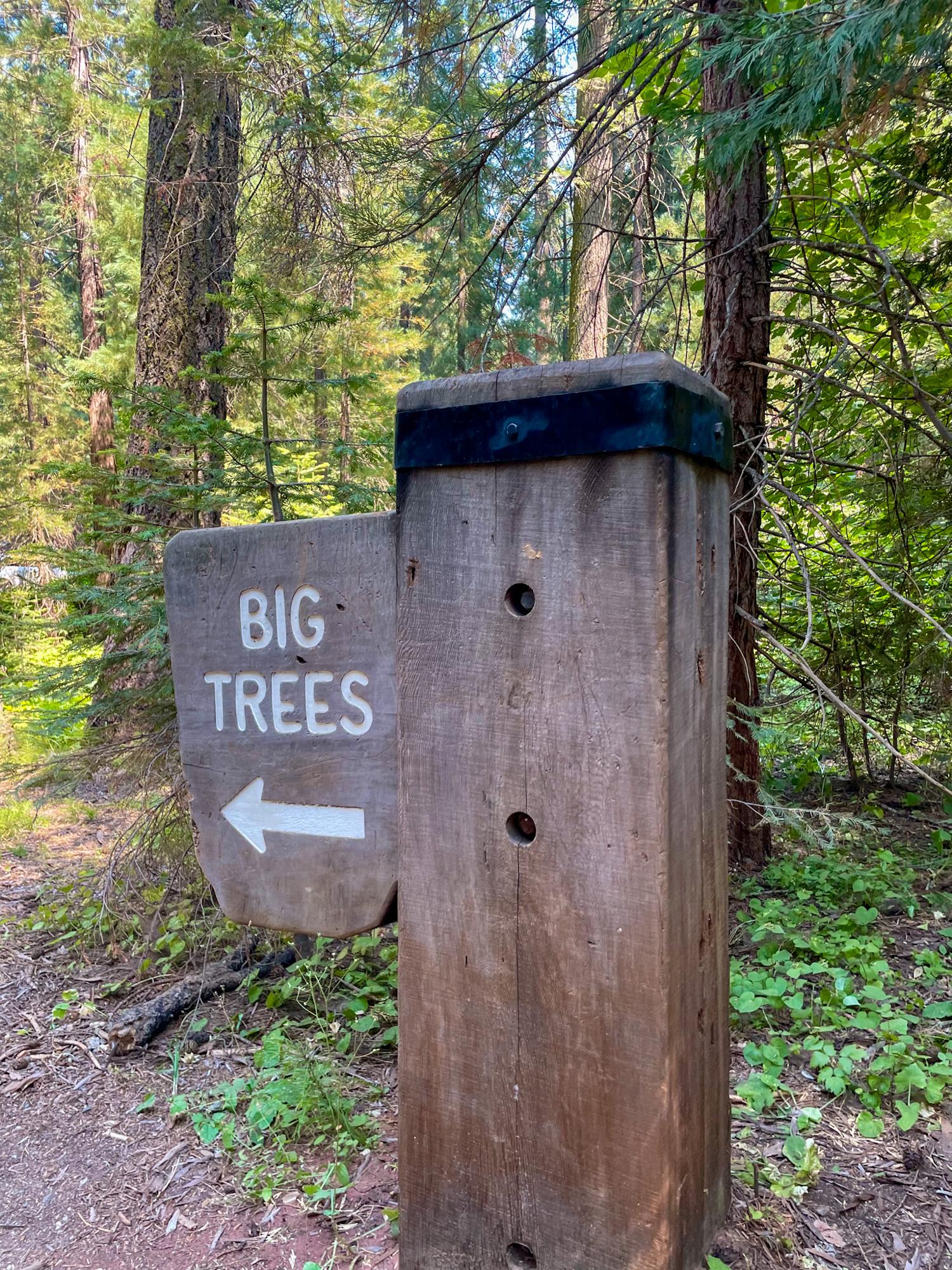 Big Trees sign