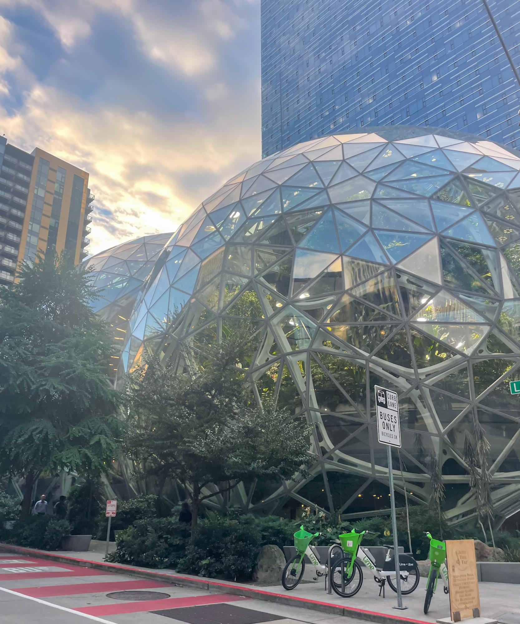 Amazon Spheres